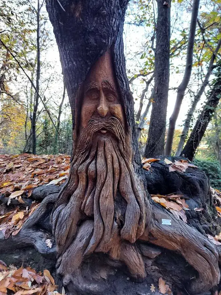 Holzskulptur im Roccart-Park auf der Wanderung vom Rocca di Cavour