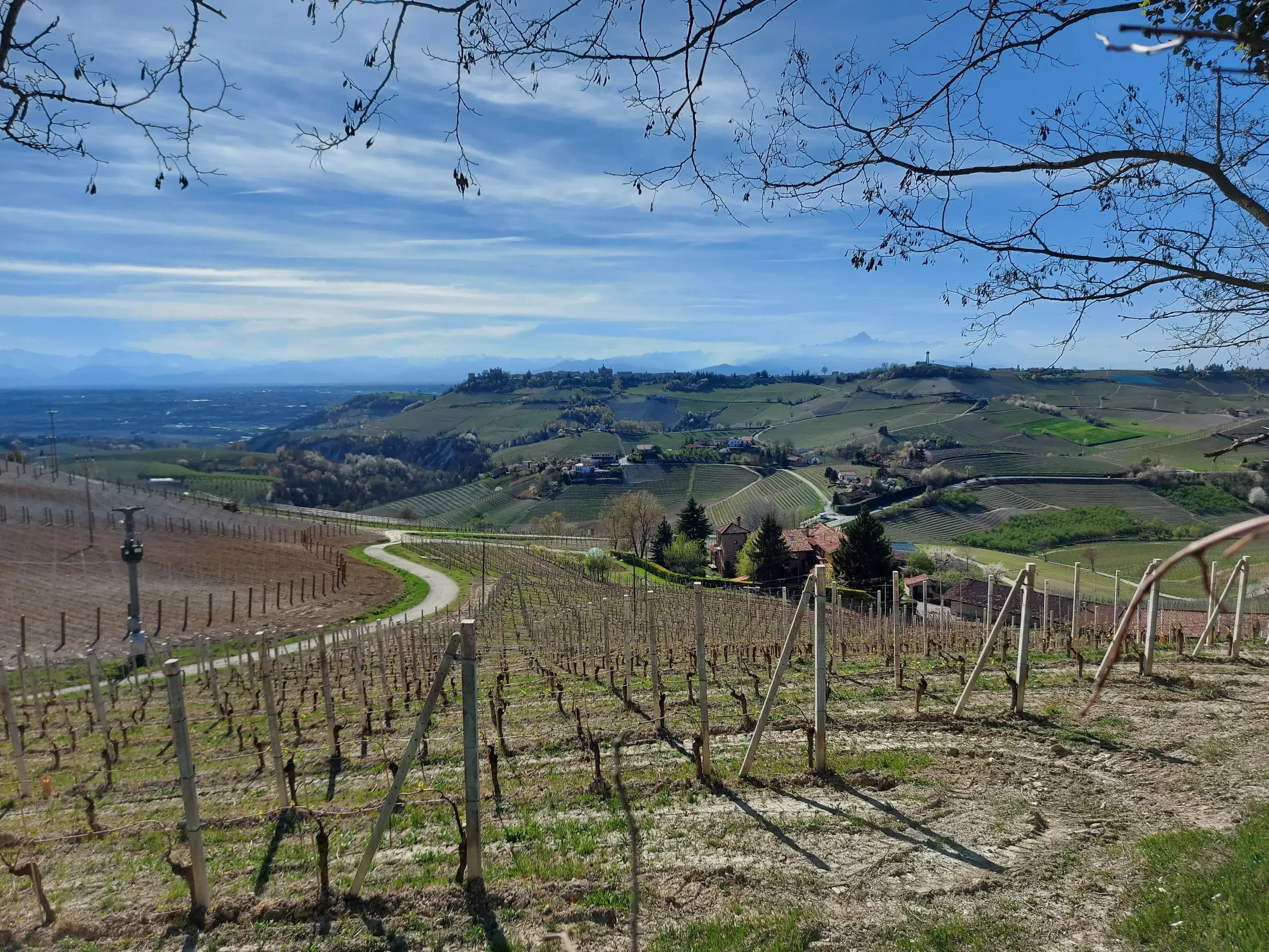 Wanderweg zwischen den Weinreben auf den Weinbergen zwischen Barolo und Monforte d'Alba