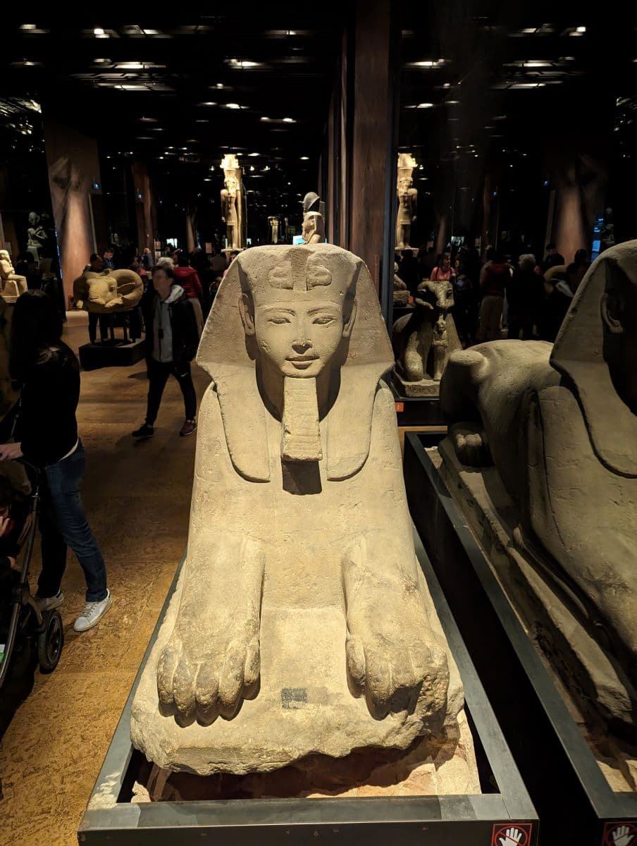 A partial stone sphinx statue at Turin's Egyptian Museum, viewed from the front, showing a finely carved human head with a royal headdress, connected to the large, clawed paws of a lion. Visitors can be seen in the background, exploring the vast collection of artifacts.